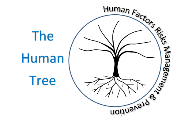 The human tree